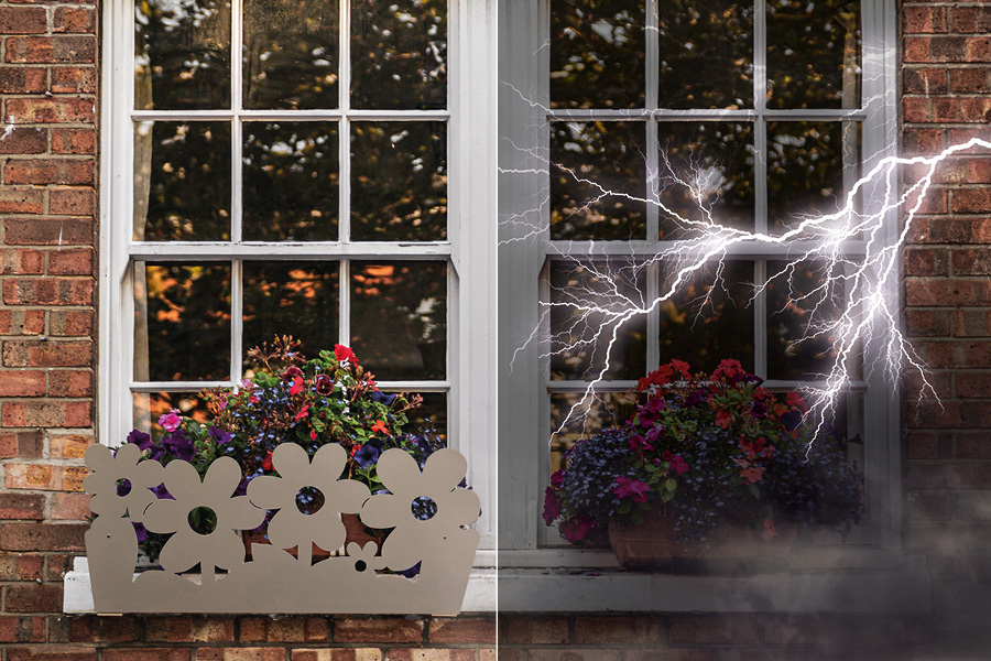 The wind has changed: how to protect your flowers outside from new extreme weather events